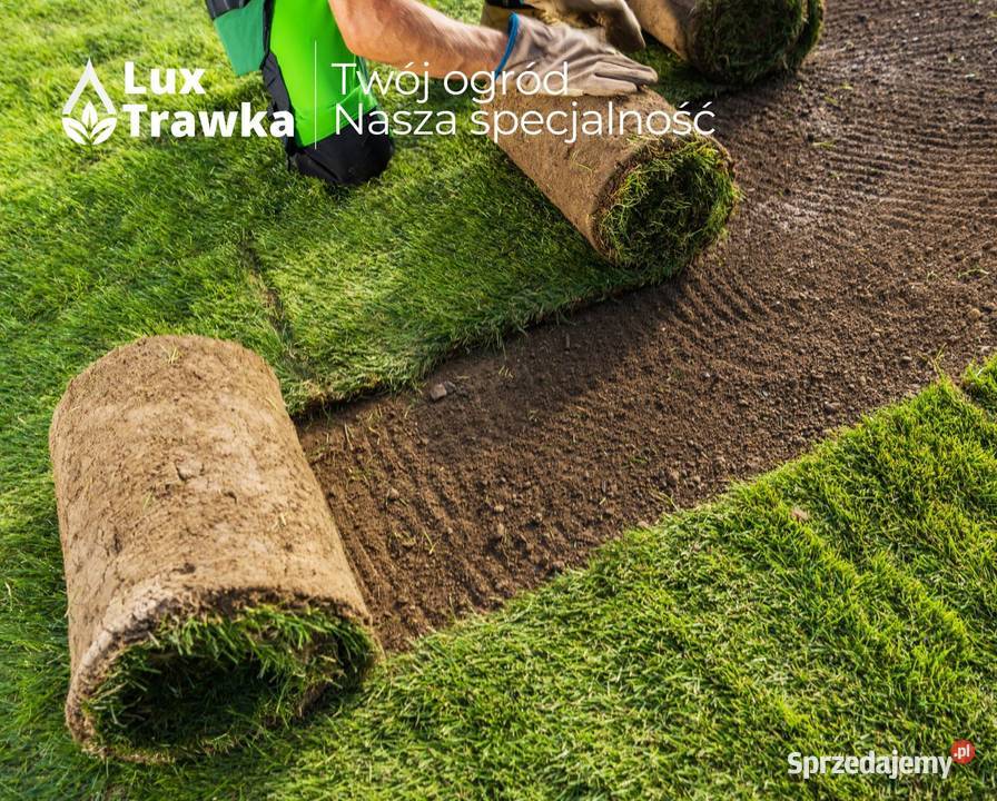 Trawa w rolce Dostawa na terenie całej Kraków
