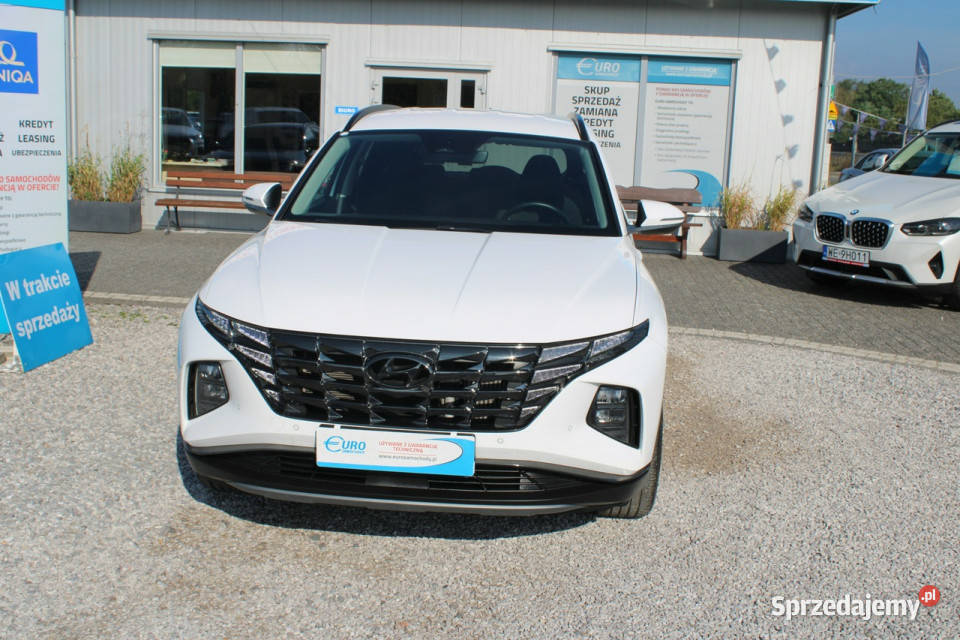 Hyundai Tucson 16 TGDi 2WD 48V 150 Executive mazowieckie sprzedam