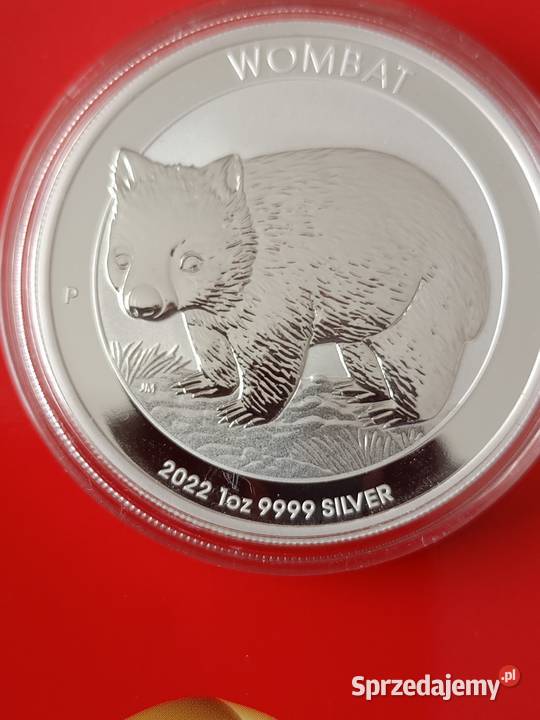 Australijski Wombat 2022 1oz srebra