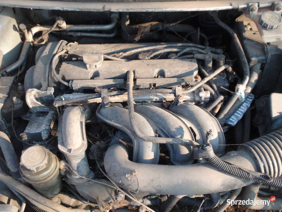 FORD FOCUS MK 1 I MK 2 II DIESEL BENZYNA KOMBI Brodnica sprzedam