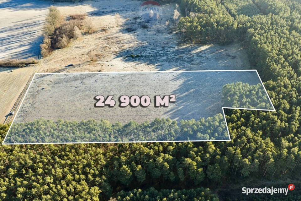 Na sprzedaż działka inwestycyjna 24900 m lubuskie Drzonów