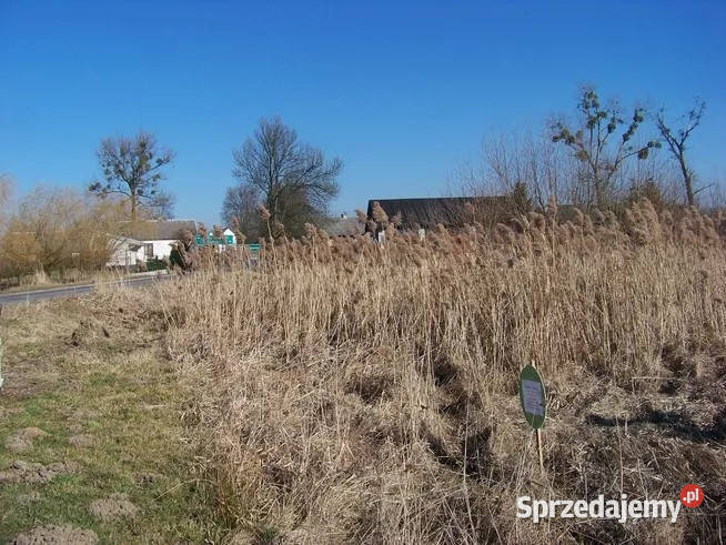 Sprzedam działkę Grębenice