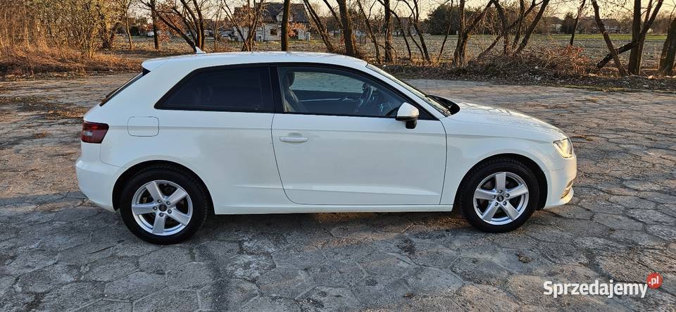 Audi A3 16 TDI 105 6 biegów 167 system Start-Stop Łęg Tarnowski