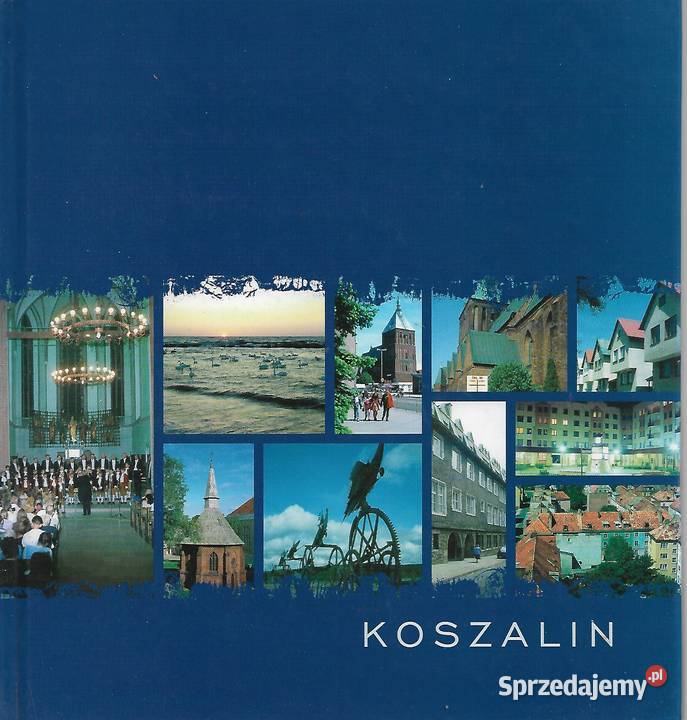 Koszalin Książki i Podręczniki Puławy