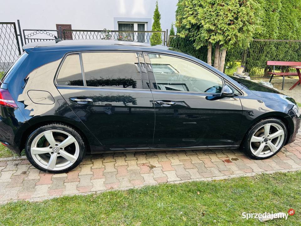 Volkswagen Golf VII BlueMotion Technology Zalas