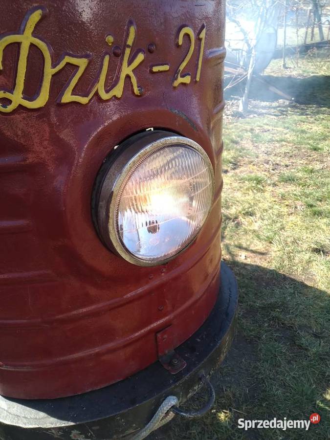 Sprzedam dzika 21