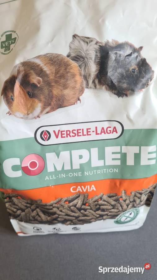 Verse Laga Cavia complete 135 Kraków