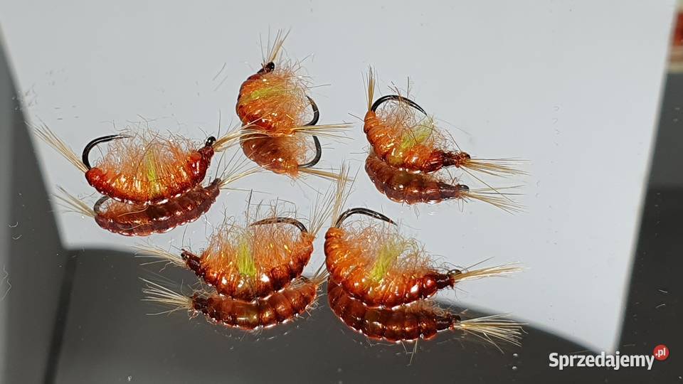 Sztuczne muchy kiełże Sporty towarzyskie i rekreacja Leśna