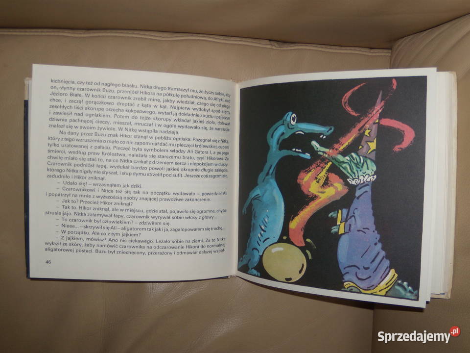 Aligator Jadwiga Ostapowicz Warszawa