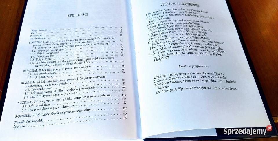 Pojęcie lęku proste rozważania o charakterze tradycyjny podręcznik Gdańsk