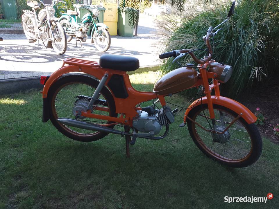 Komar 2352W Plewiska