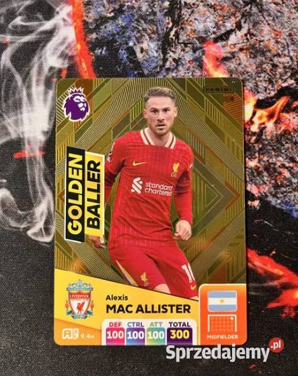 Panini karty piłkarzy Premier League 2025 Kraków sprzedam