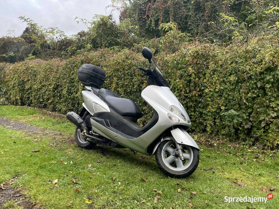 Yamaha majesty 125 lubelskie Zamość