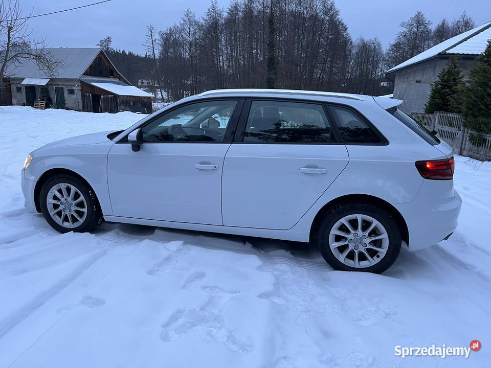 Śliczne i zdrowe Audi A3 8V 16 tdi