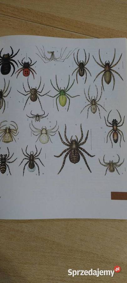 Świat zwierząt Wydanie 3 Lublin sprzedam