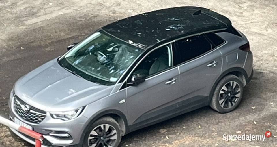 Opel grandland x 130cm3 Poznań