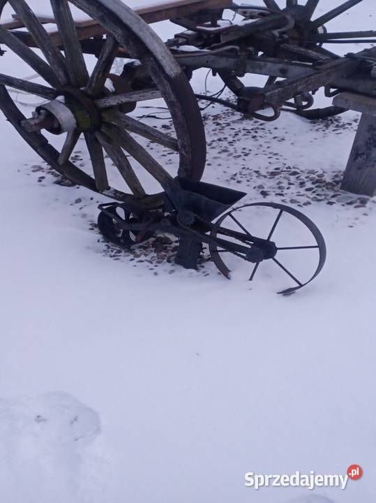 Do ogrodu wielkopolskie Konin