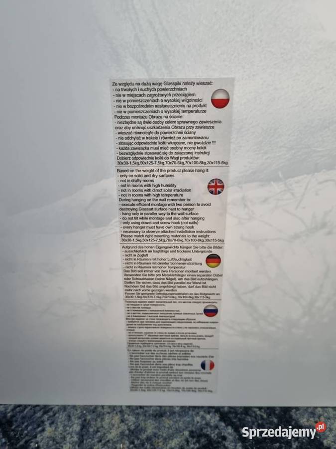 Szklany obraz lwicy 100x 70