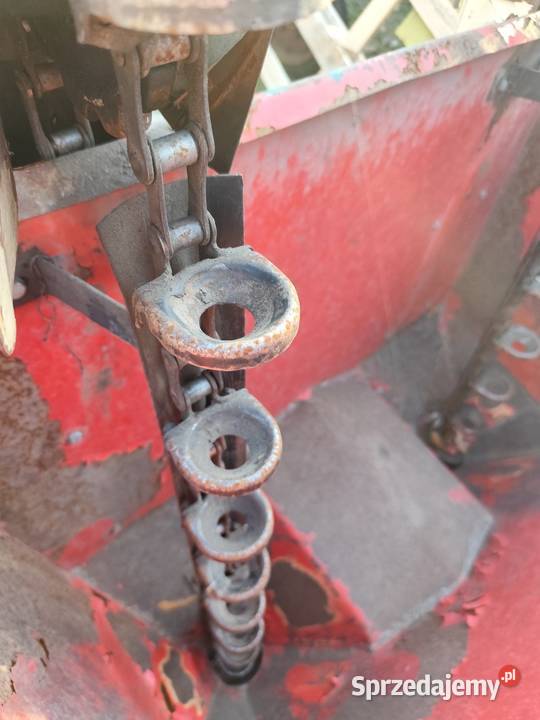 Sadzarka do ziemniaków Dąbie