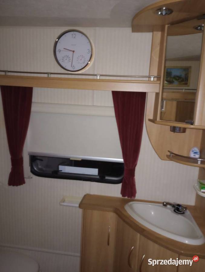 Ładna Przyczepa Angielska Sterling Topaz Kofort