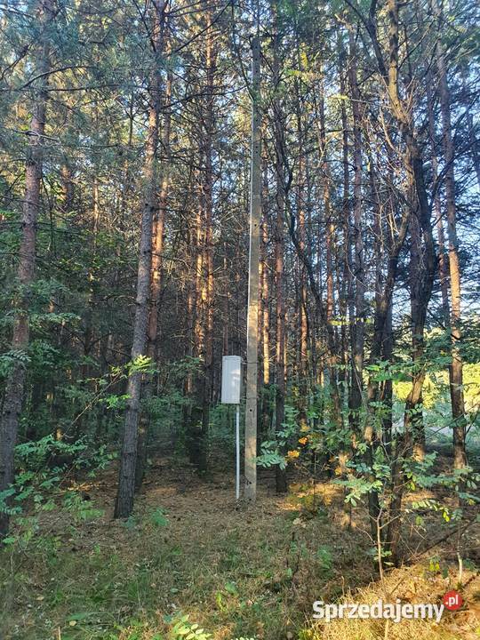 Działka leśna 5600m 90 Warszawy Kostrzyn sprzedam