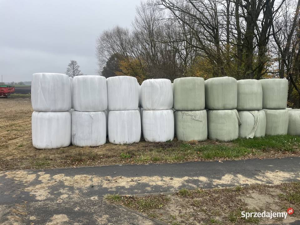 Sianokiszonką Łódź