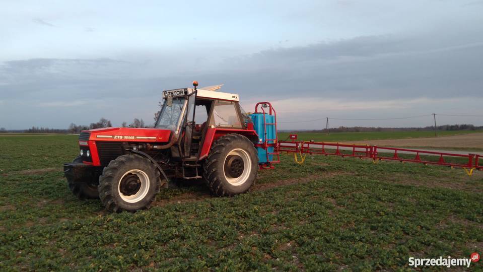 Sprzedam ładnego Zetora 16145 świętokrzyskie