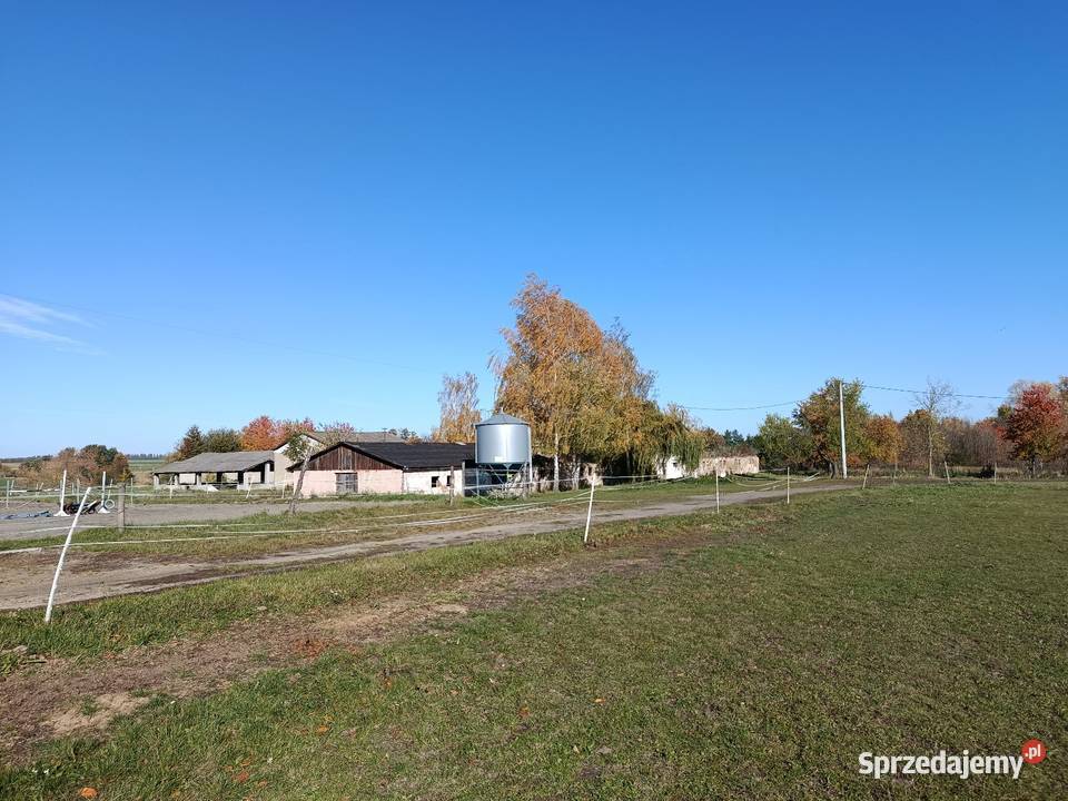 Stajnia mieszkanie gospodarstwo rolne 2ha woj prąd Prudnik