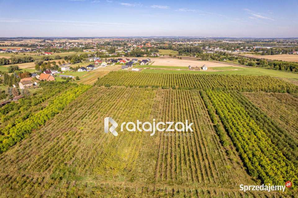Ogłoszenie działka 1000m2 Kolnik Dwie Topole