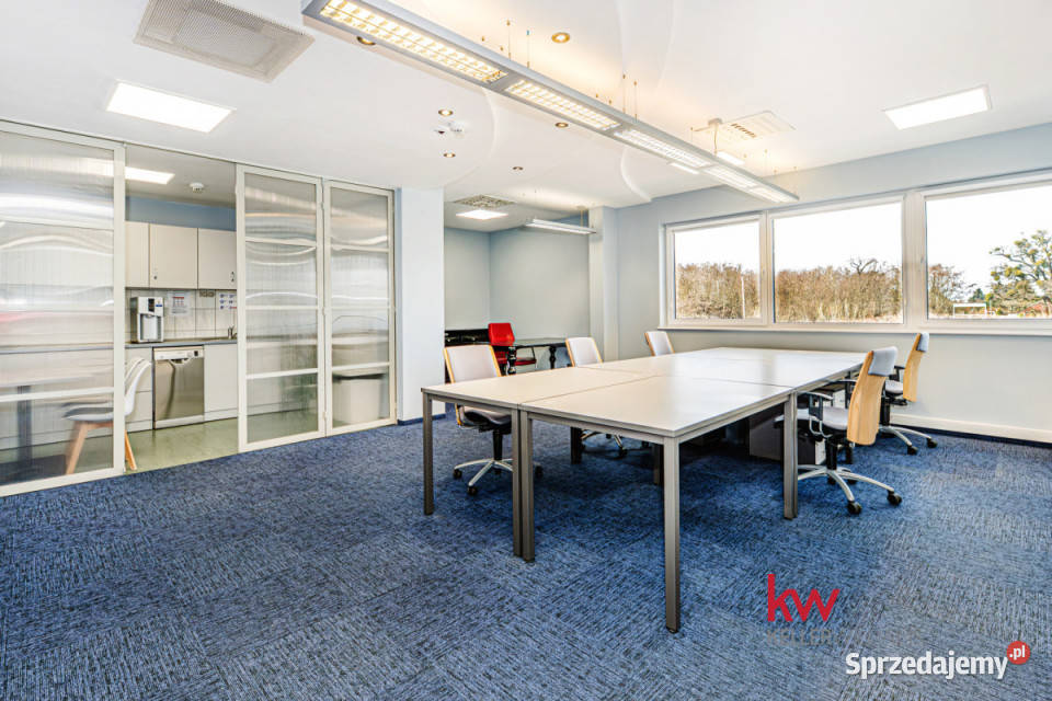 Wynajem lokalu Poznań Polska 9406 metrów