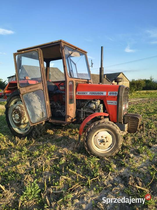 Massey Ferguson 255 świętokrzyskie Waśniów sprzedam