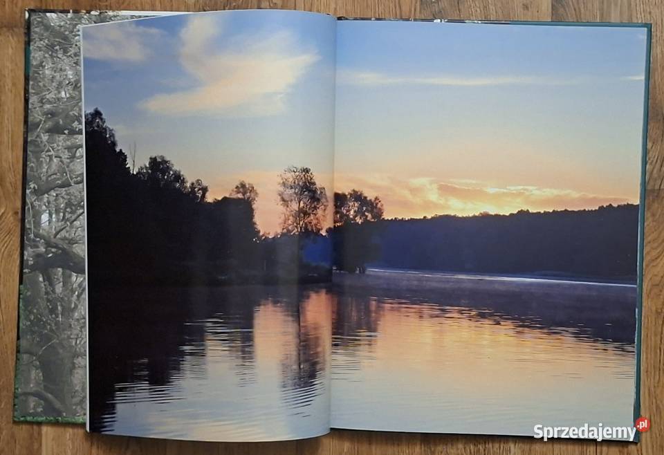 Album z okazji 20 lat Nadleśnictwa Przytok przyroda, krajobrazy Poradniki, albumy i reportaże lubuskie Zielona Góra