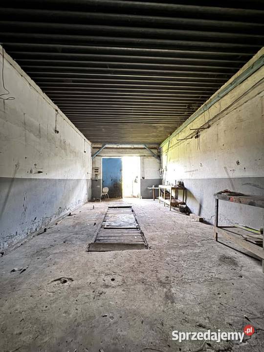 Wynajmę 8 pomieszczeń 20200m2 Czerniejewo
