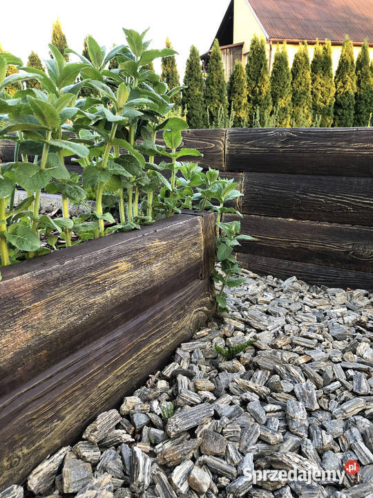 Ekologiczny warzywniak betonowy Zielnik Inspekt Rośliny Kraków