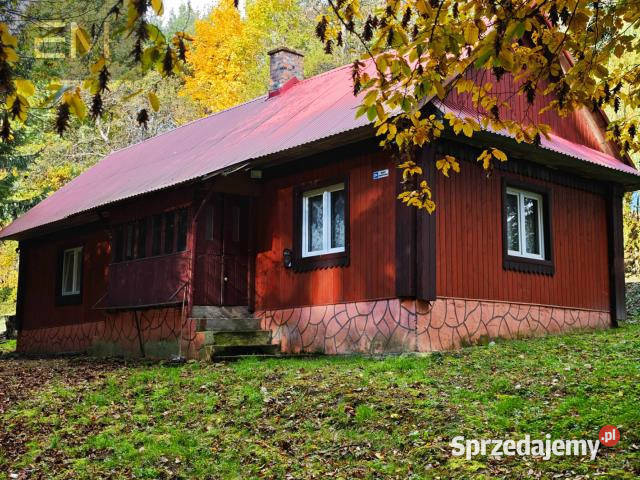 Działka 5000m2 Pstrągowa sprzedam