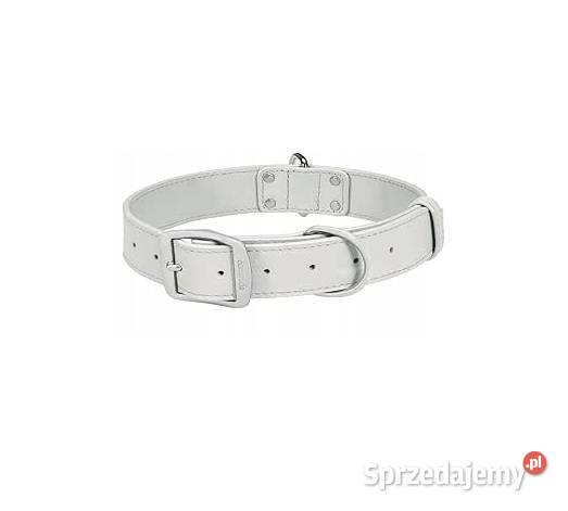 Obroża skórzana jasnoszara rozmiar M 3345 Akcesoria dla zwierząt Szczerbice