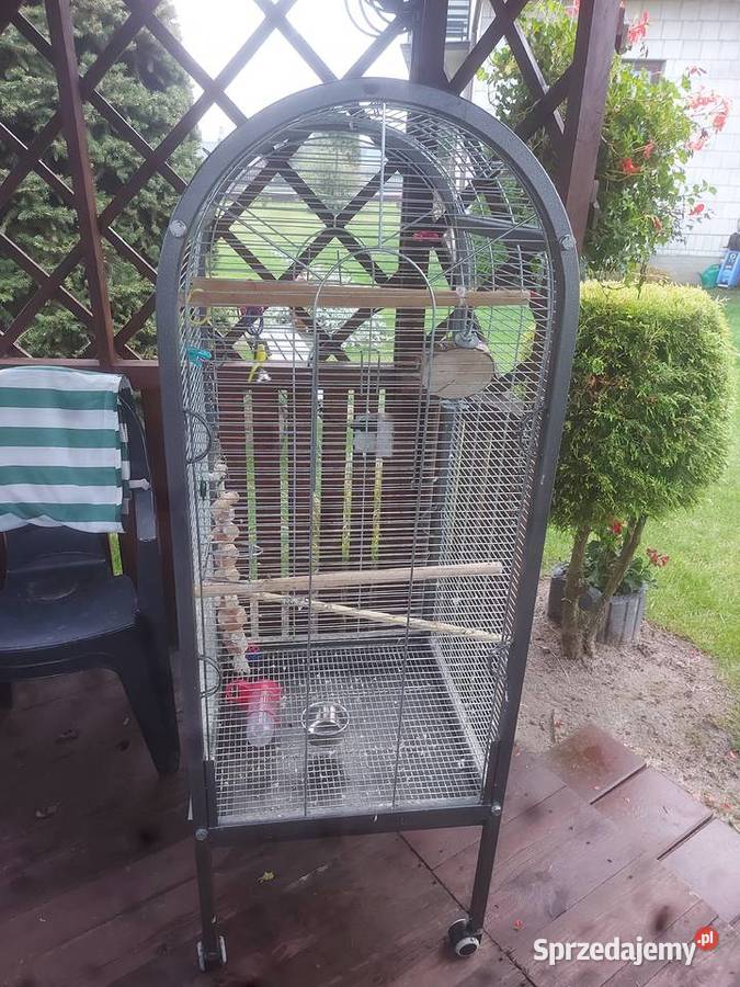 Mnichy nizinneklatka