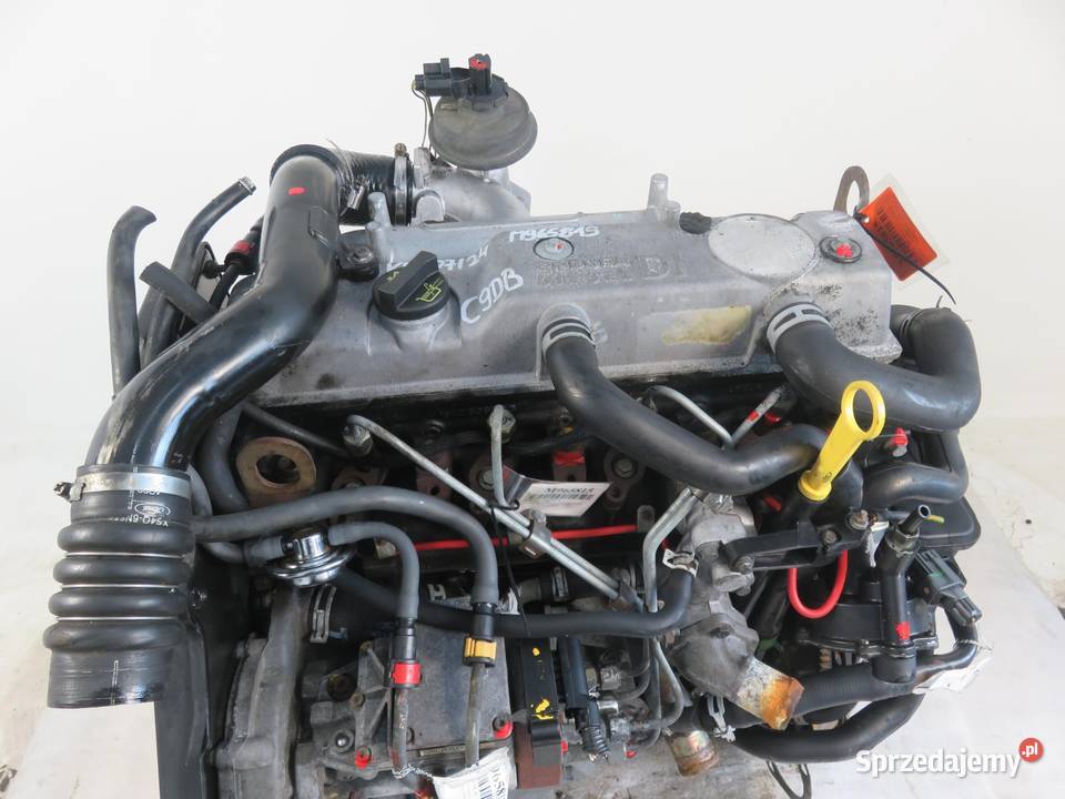 SILNIK FORD FOCUS MK1 18 TDDI C9DB 90 KOMPLETNY