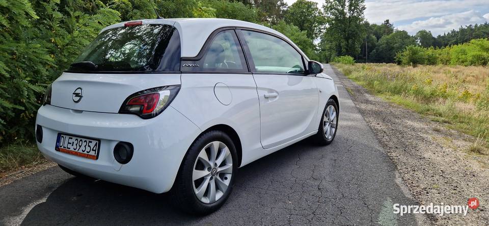 Opel Adam Astra Corsa 13 2015r Chojnów