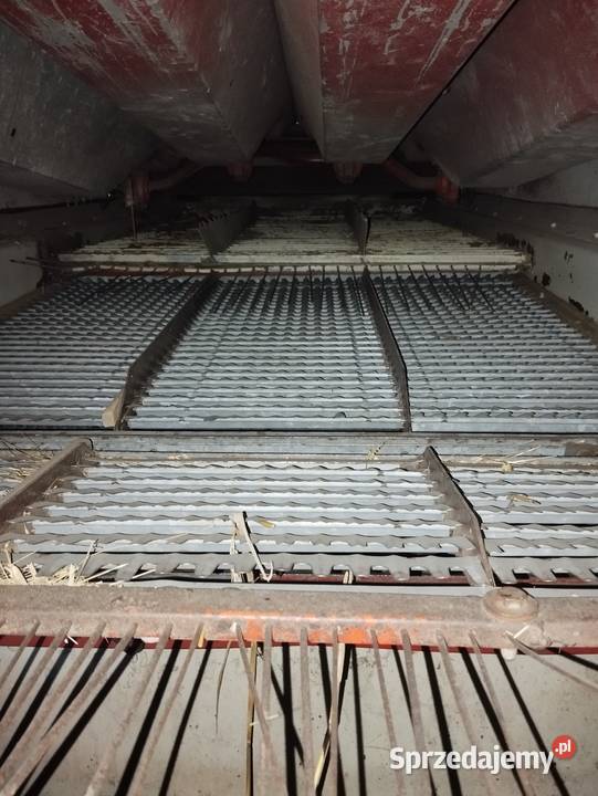 International ihc 431 nieuszkodzony Rzeplin sprzedam