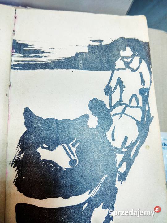 Curwood najdziksze serca dolina ludzi milczących Warszawa