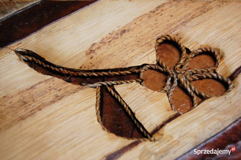 Album 20 foto naturalny botaniczny drewno Lublin