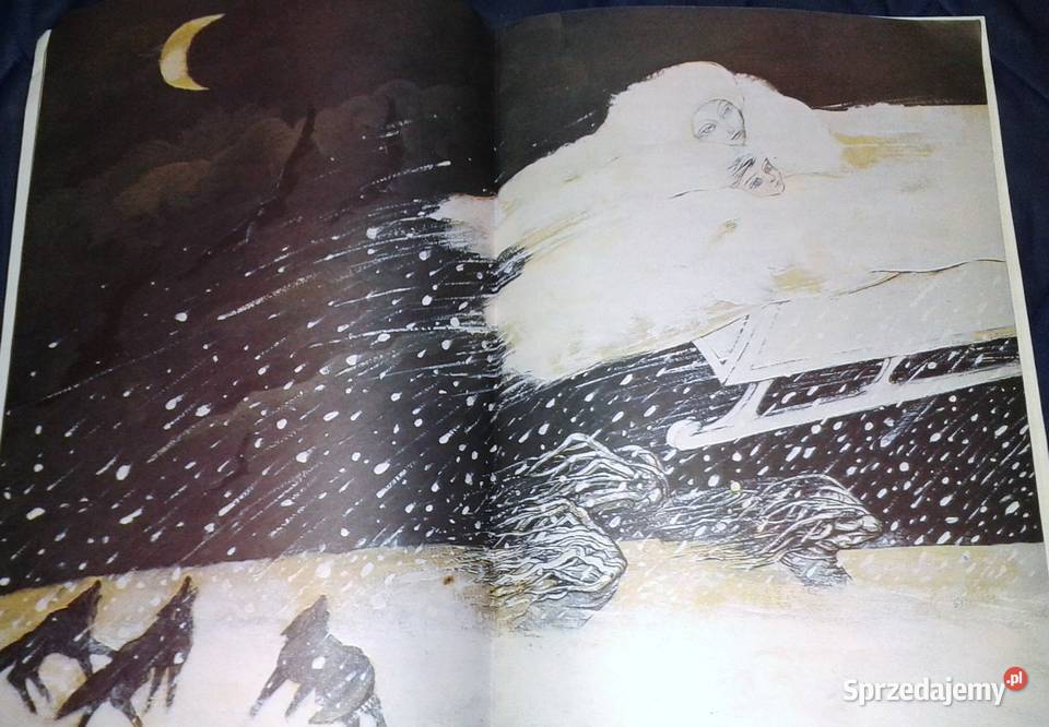 Królowa Śniegu Hans Christian Andersen