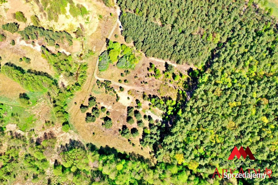 Grunt 1200m2 Lipno Sprzedaż