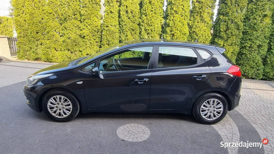 Kia Ceed Prosty Silnik 6 Bieg GWARANCJA Zakup lakier metallic Płońsk sprzedam