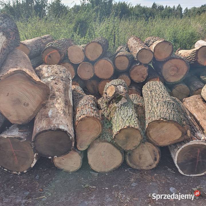 Drewno dąb dębowe wałki opałowe kominkowe Ostrów Wielkopolski