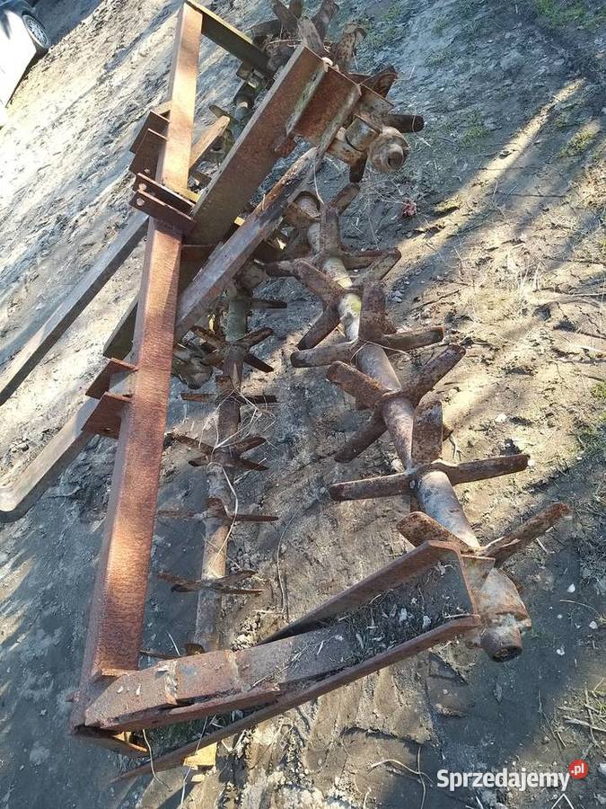 Wał wałki kolczatka Pozostałe Pozostałe śląskie Koziegłowy