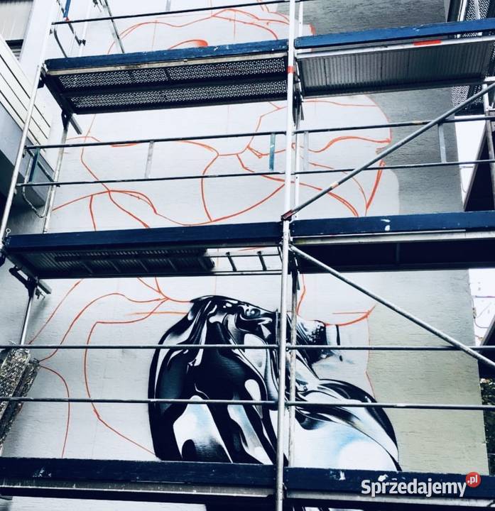 Artystyczne graffiti malowanie mural aerograf