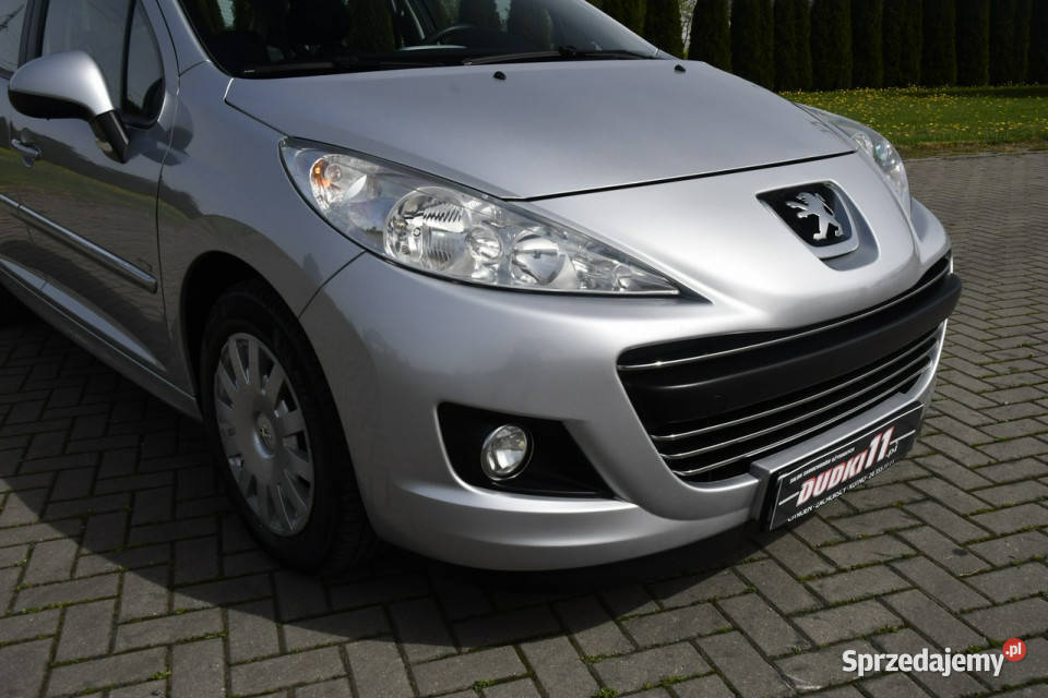 Peugeot 207 16hdi DUDKI11 ESP