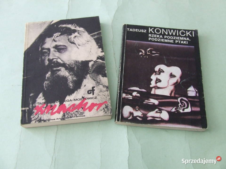 Znachor Mostowicz Rzeka podziemna podziemne Oborniki Śląskie